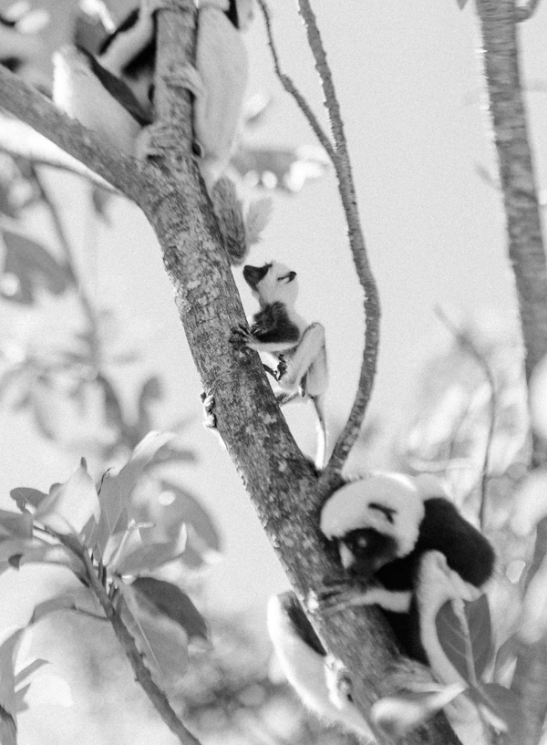 RYALE_Madagascar_Blog3_025