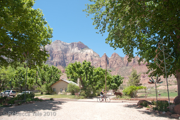 RYALE_Springdale-1