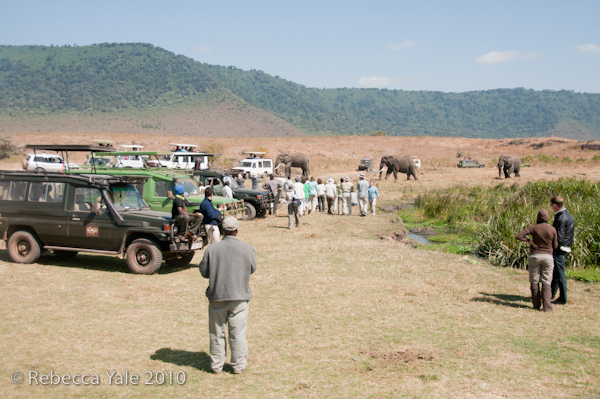 RYALE_Ngorongoro_Crater_64