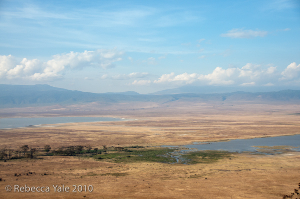 RYALE_Ngorongoro_Crater_102