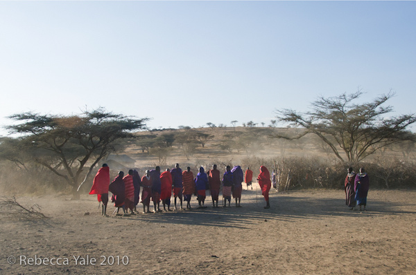 RYALE_Ngorongoro_Crater_160