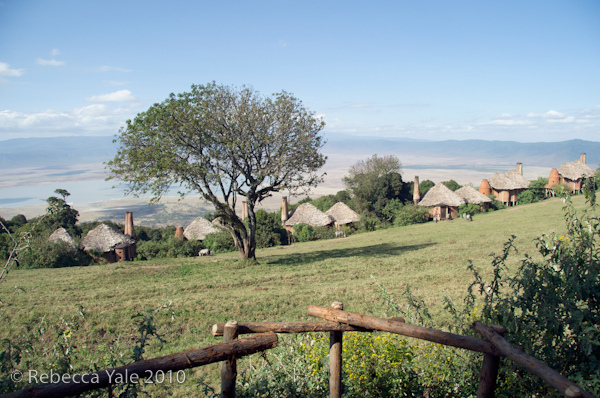 RYALE_Ngorongoro_Crater_90