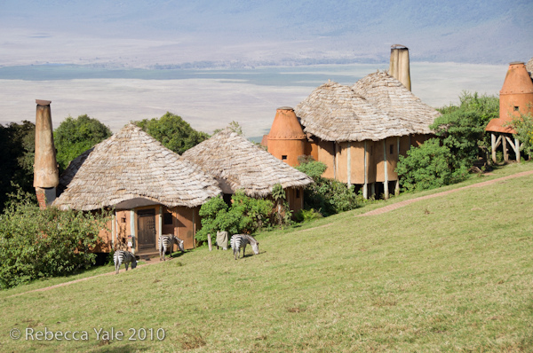 RYALE_Ngorongoro_Crater_91