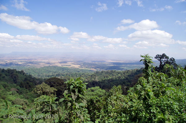 RYALE_Ngorongoro_Crater_104