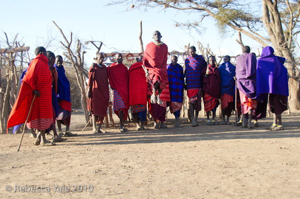 RYALE_Ngorongoro_Crater_164