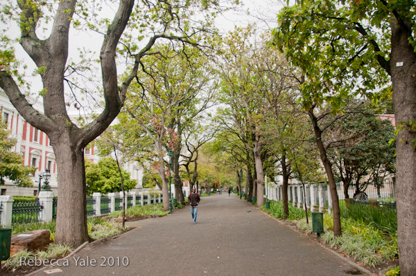 RYALE_Cape_Town-194