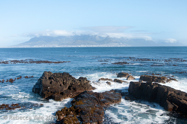 RYALE_Cape_Town-243