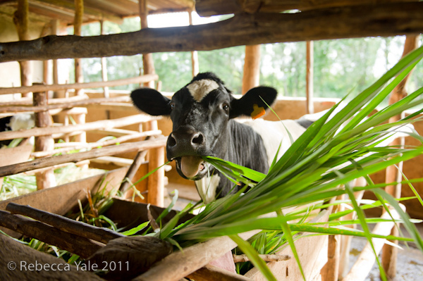 RYALE_UNICEF_28