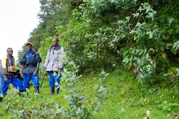 RYALE_Rwanda_Uganda_Safari-16