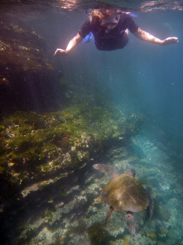 RYALE_Galapagos_Underwater-24