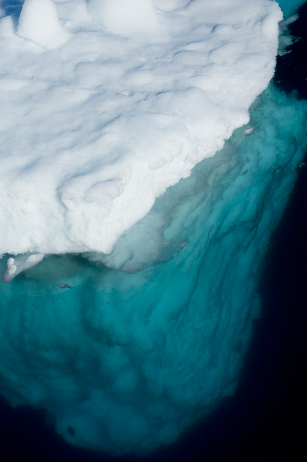 RYALE_Antarctica_Ice-18