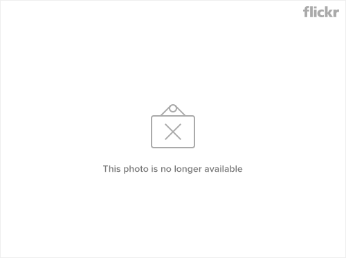 RYALE_Proposal-4