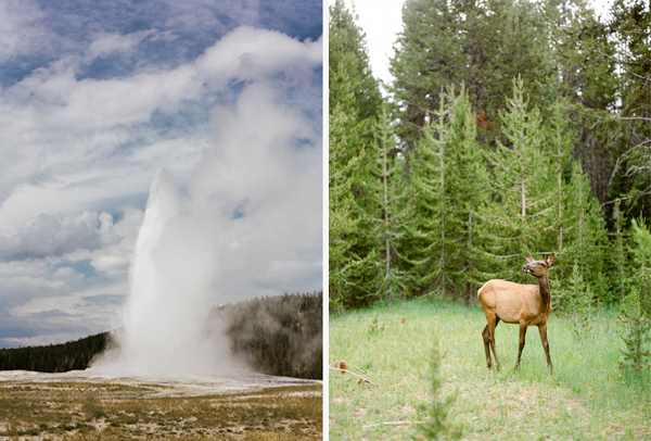 Rebecca Yale Portraits: Yellowstone &emdash; 
