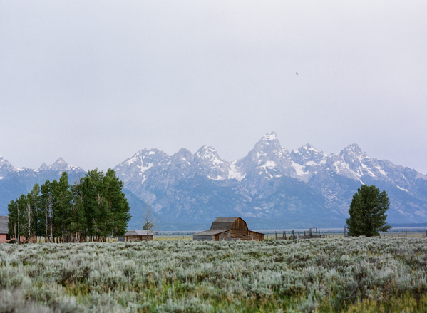 Rebecca Yale Portraits: Tetons &emdash; 