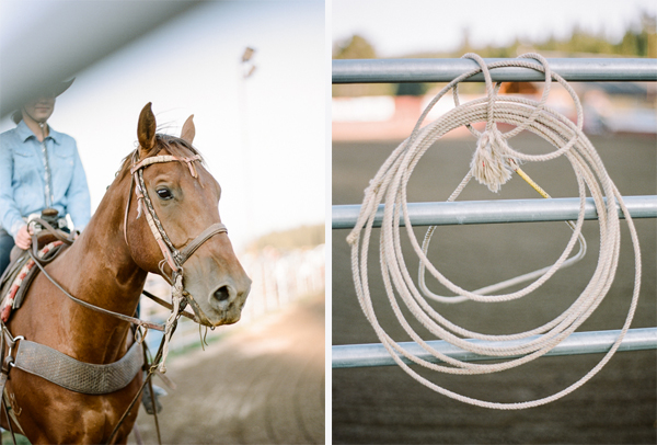 Rebecca Yale Portraits: Yellowstone &emdash; 