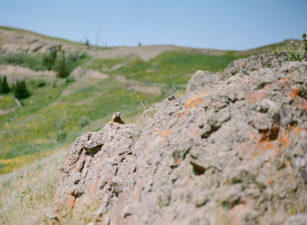 Rebecca Yale Portraits: Yellowstone &emdash; 