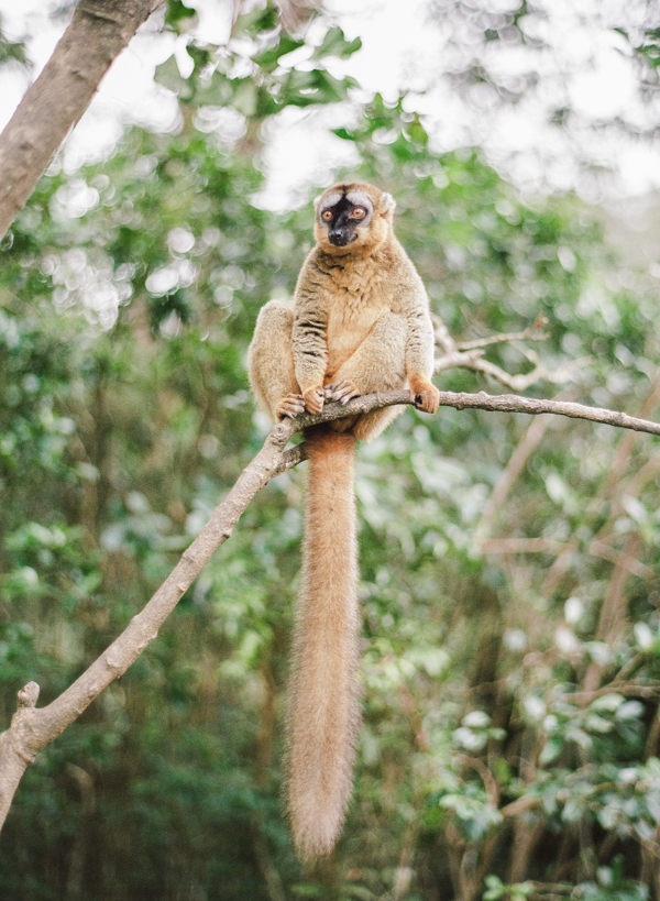 RYALE_Madagascar_Blog1_021