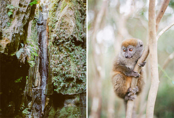 RYALE_Madagascar_Blog1_027
