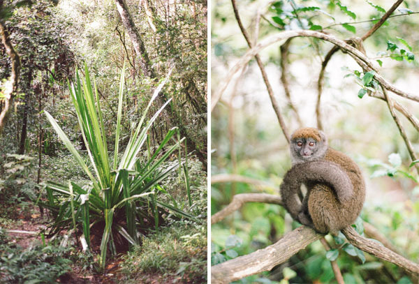 RYALE_Madagascar_Blog1_003
