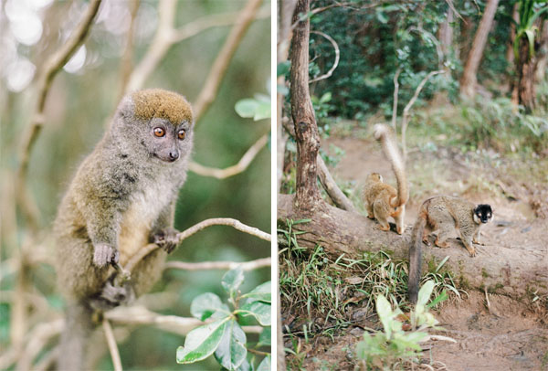 RYALE_Madagascar_Blog2_012