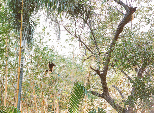 RYALE_Madagascar_Blog1_028