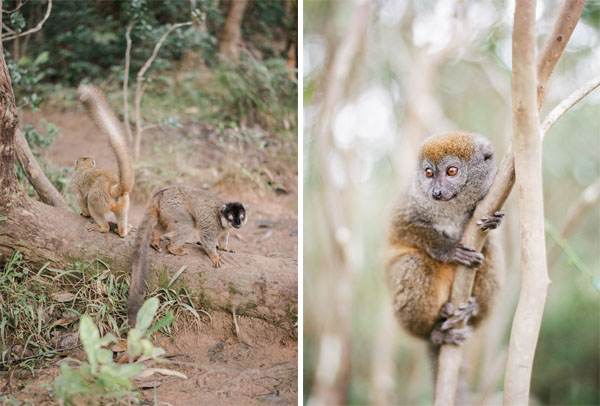 RYALE_Madagascar_Blog2_019