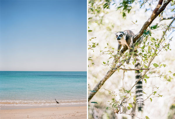 RYALE_Madagascar_Blog1_025