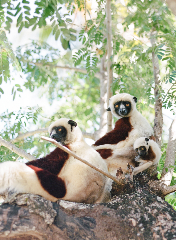 RYALE_Madagascar_Blog1_018