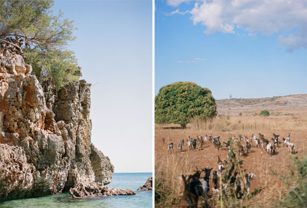RYALE_Madagascar_Blog1_016